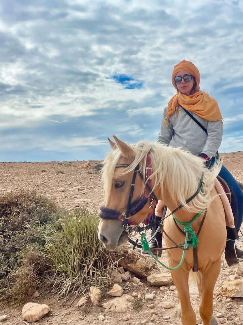 Stallion Adventures Travel — photo 3