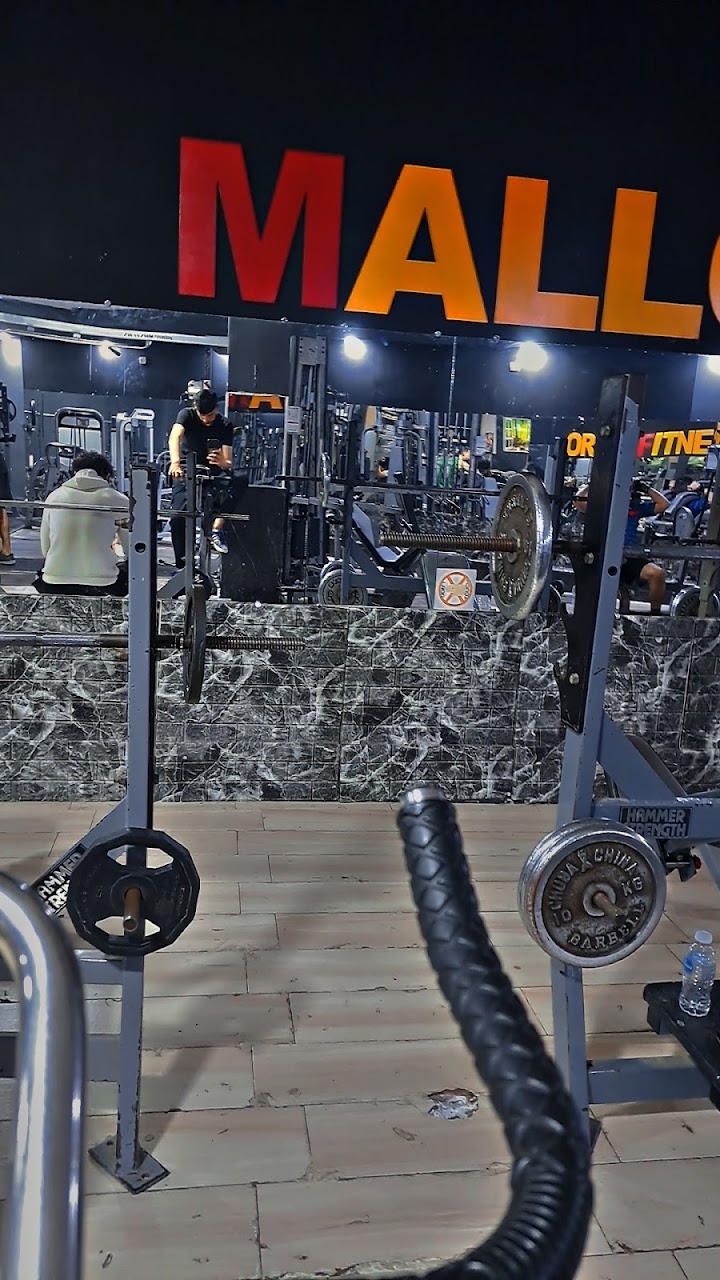 Sport &fitness mallorca — photo 2