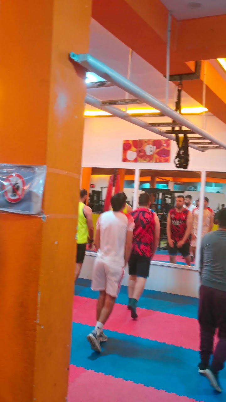 The Blue Pearl Gym — photo 2