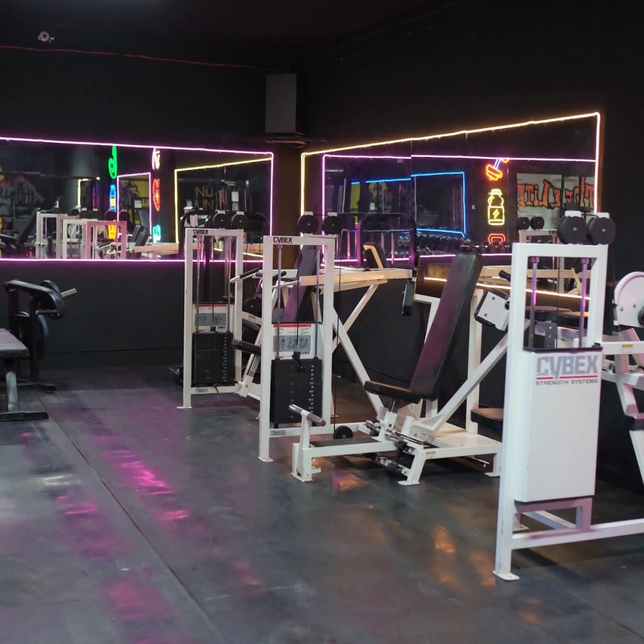 The Elite Fitness — photo 3
