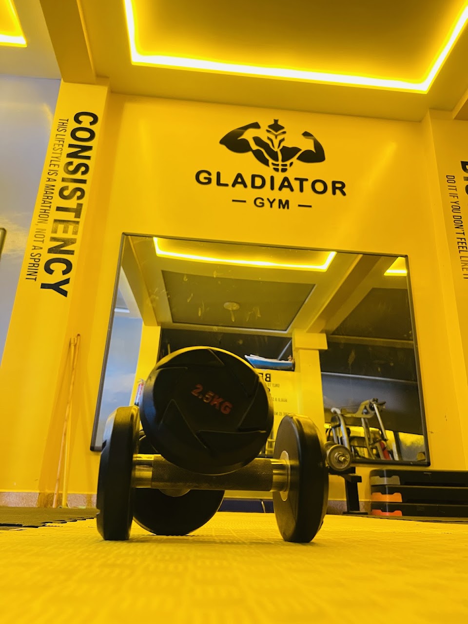 Gladiator Gym — photo 2