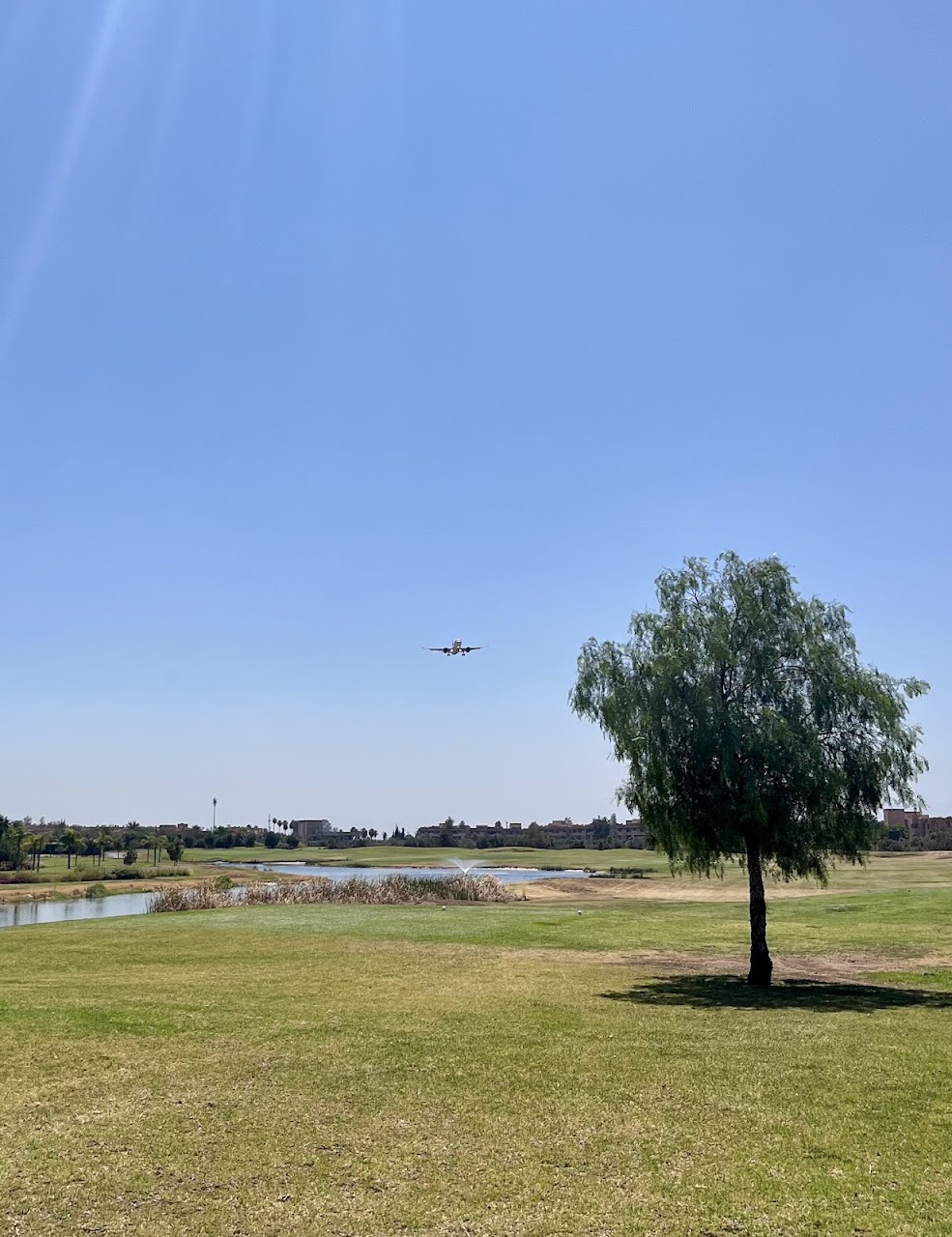 Golf Académie Al Houara — photo 4