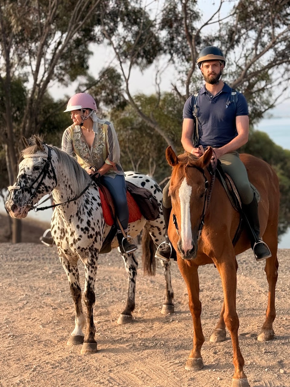 Domaine Équestre La Palmeraie - Cheval Marrakech