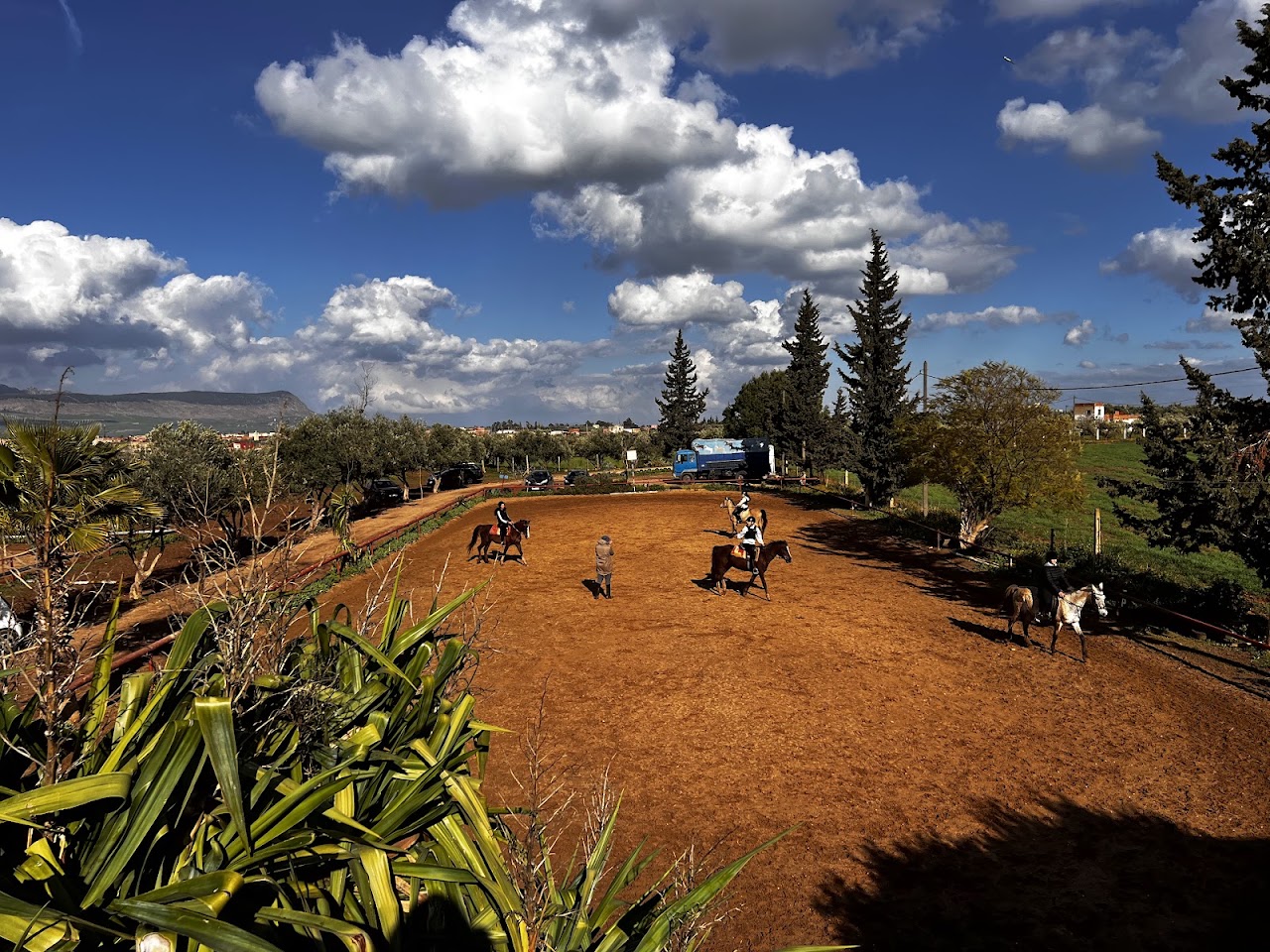 Club Farah D'équitation — photo 4