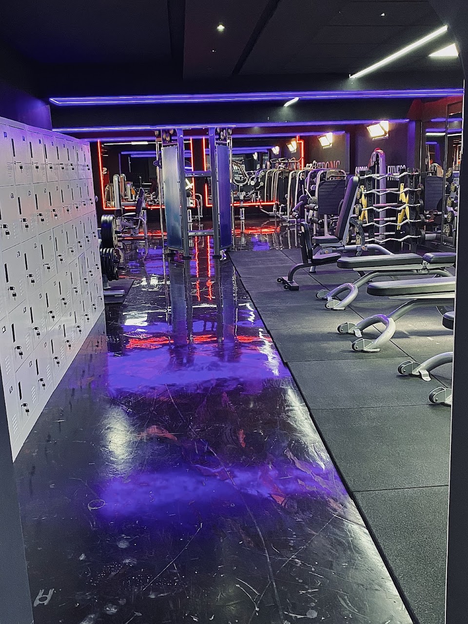 Salle Cfc Fitness