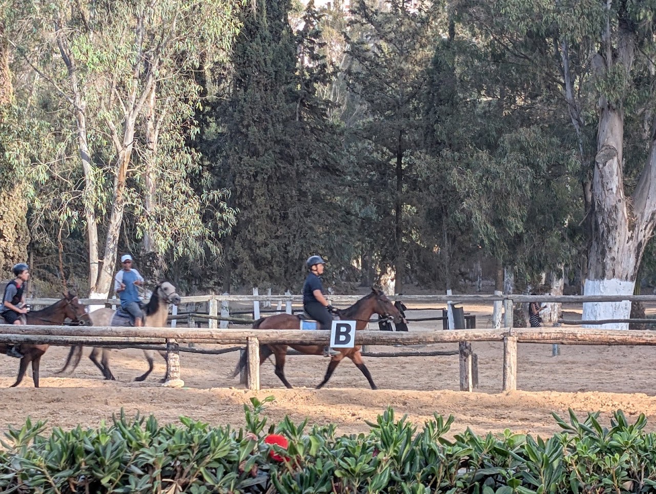 Royal Equestrian Club