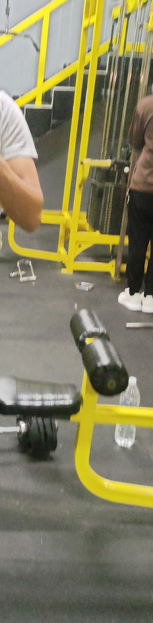 MS GYM — photo 3