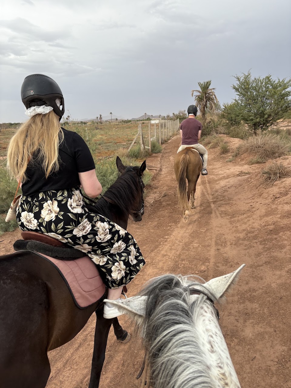 Equestre Palmeraie - Cheval Marrakech — photo 4