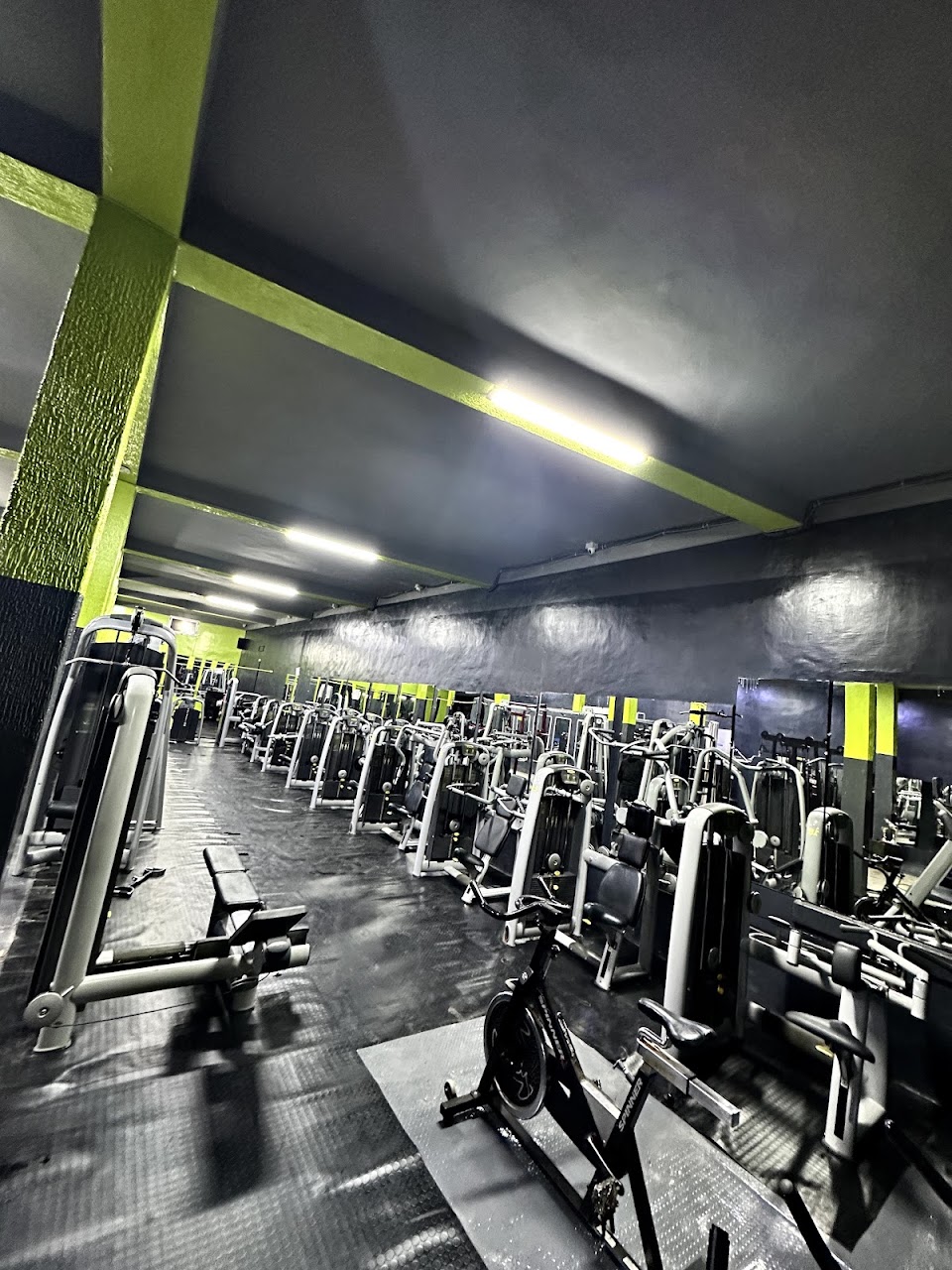 NJ GYM 🏻 (najjar fitness) — photo 2