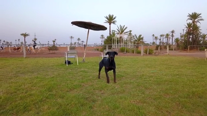 Marrakech Horse And Quads Club — photo 2