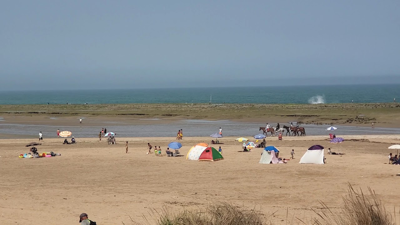 Club Equestre Oued Ykem — photo 4