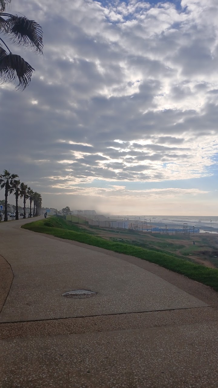 مدار المسبح الكبير — photo 4