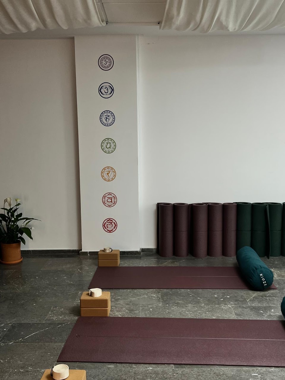 Kioze - Yoga Marrakesh, Studio Yoga 100% Femmes, Pilates Marrakesh, Dance Orientale, Boxe Femmes, Cours De Yoga Marrakesh — photo 4