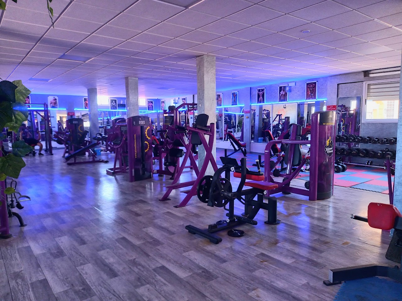 Ertibi gym Bodybuilding and Fitness — photo 3