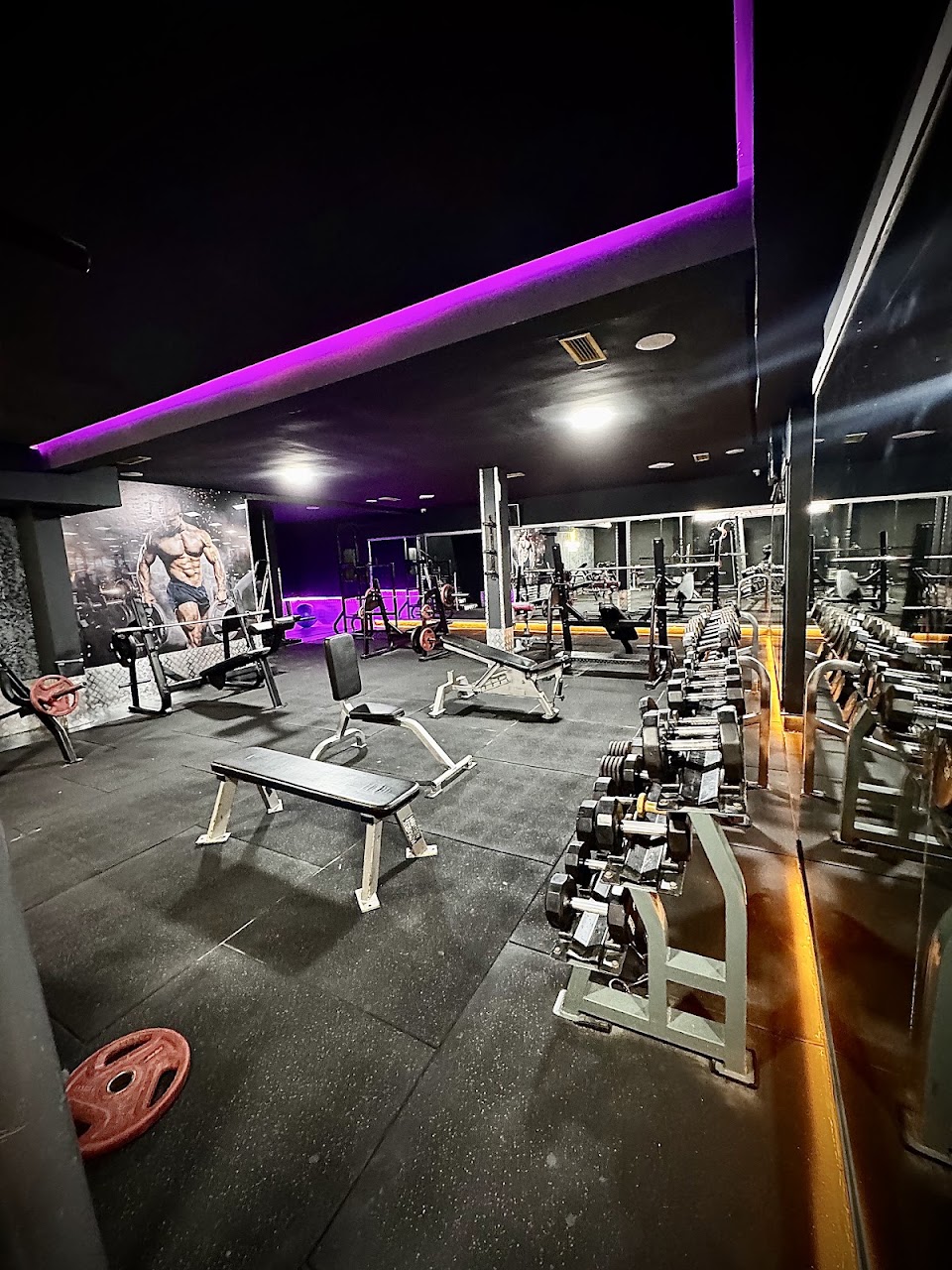 Olympic jafy gym