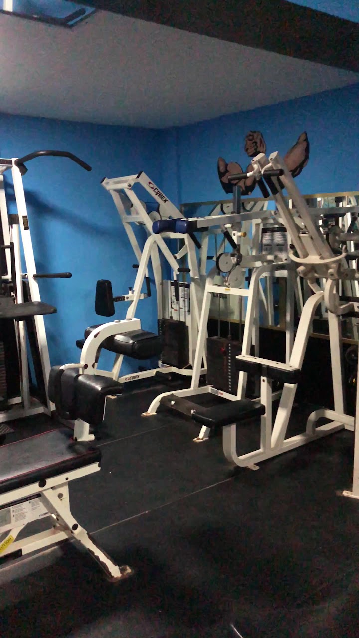Salle de gym al manzah — photo 2