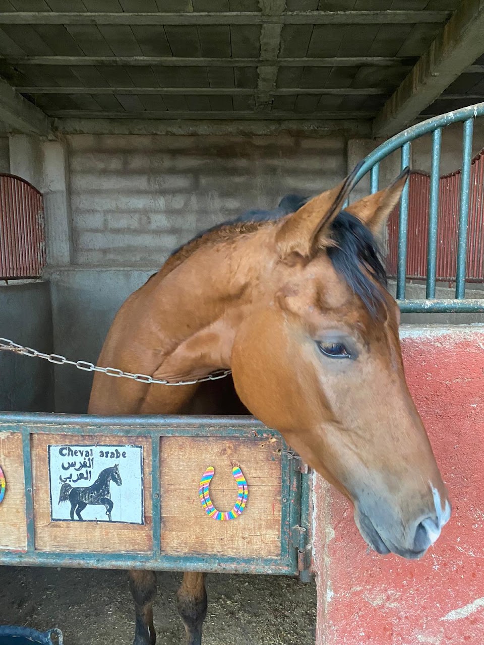 Marrakech Horse And Quads Club — photo 4