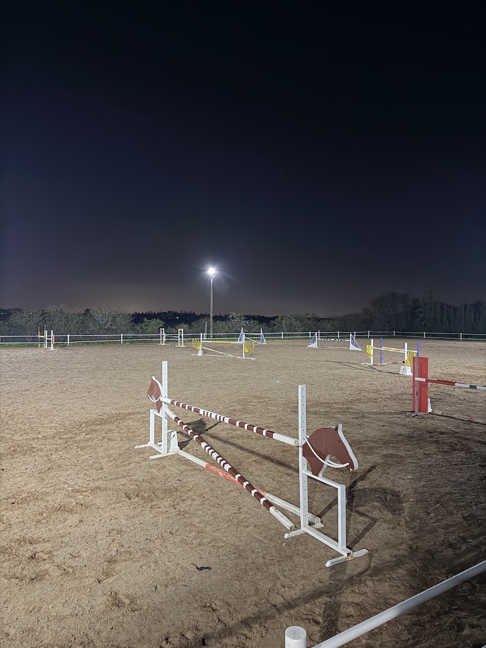 Abraj Atlas D'équitation — photo 3
