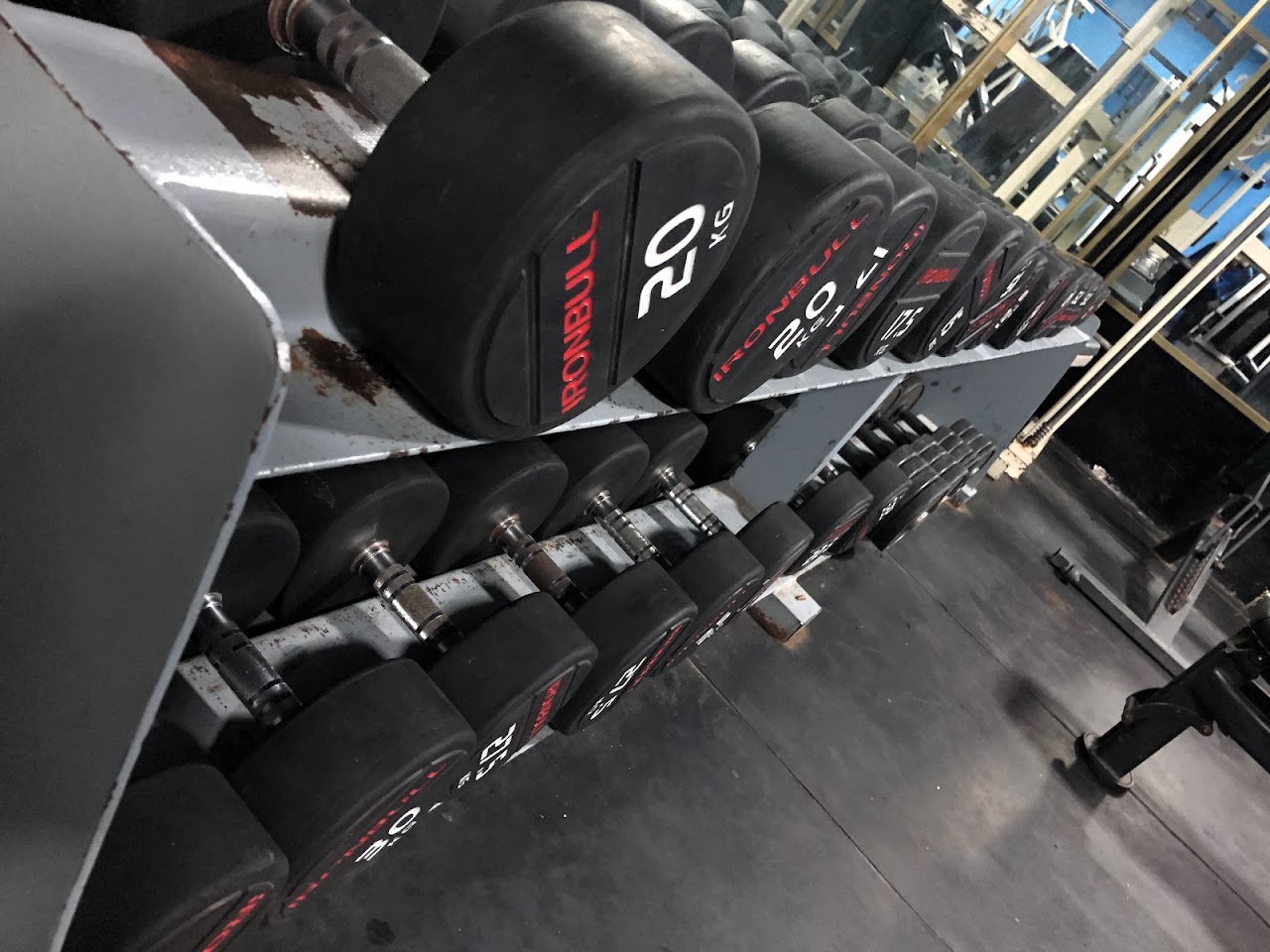 Salle de gym al manzah — photo 4