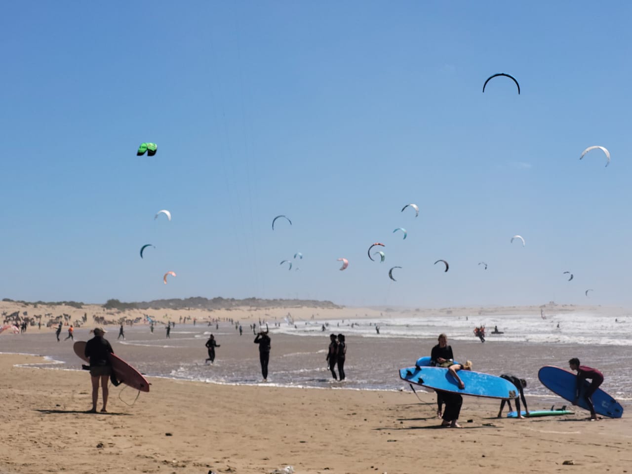 Freedom surf