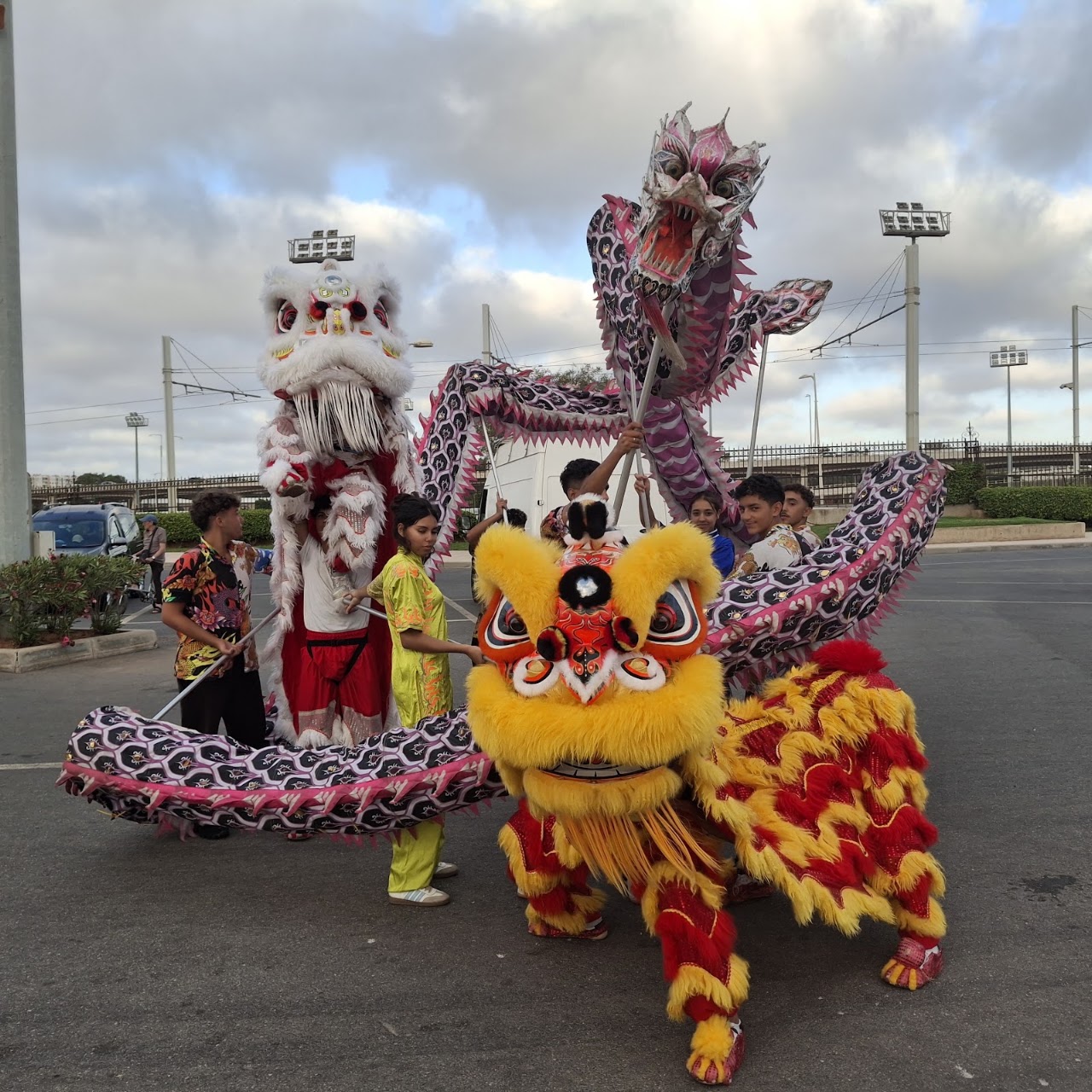 Association Al Majd des Arts Martiaux جمعية المجد لفنون الحرب — photo 2