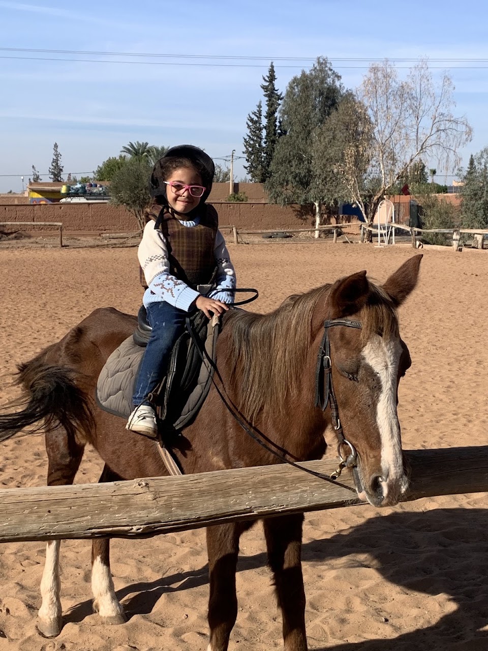 Ranch Family Horse — photo 4
