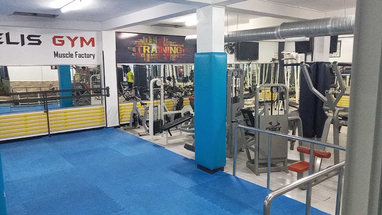 Zelis gym — photo 3