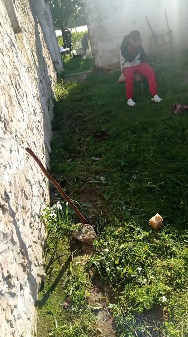 قاعه متعدده الرياضات درب الوردة — photo 2