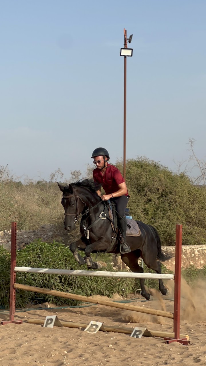 Ecurie Verte Bouskoura — photo 3