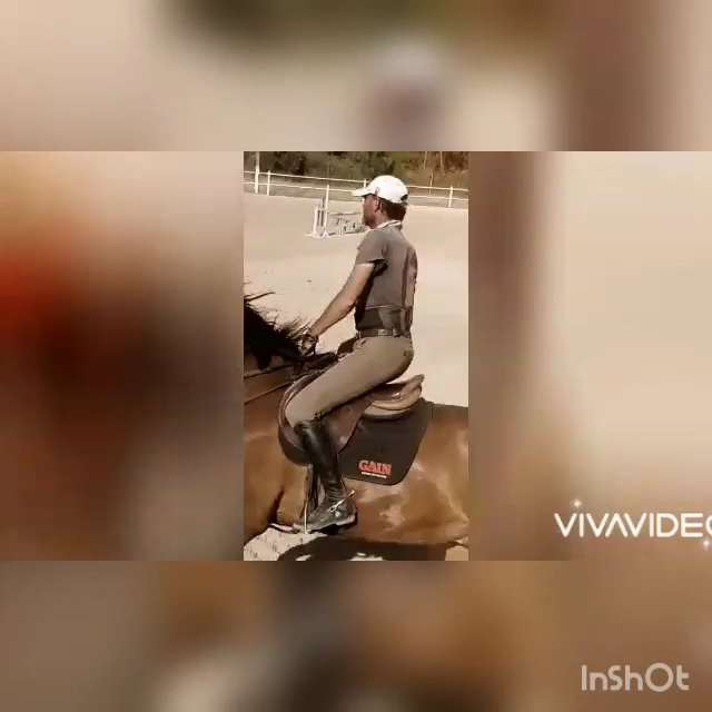 J.B Équitation-Jérôme Bedouet-