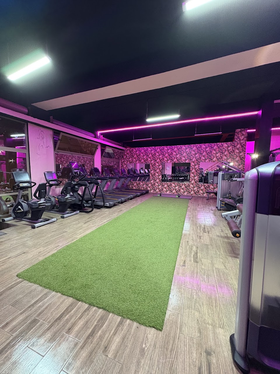 Gold Fitness — photo 4
