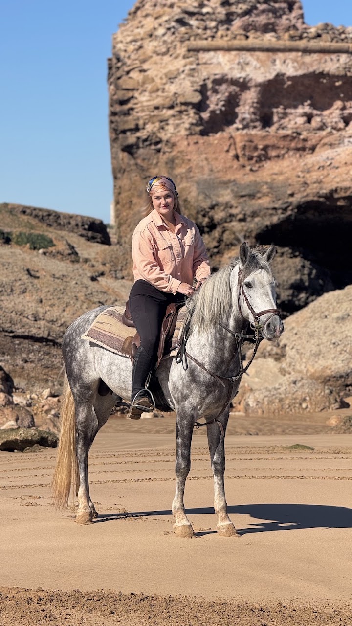 Horse4ever.essaouira — photo 4