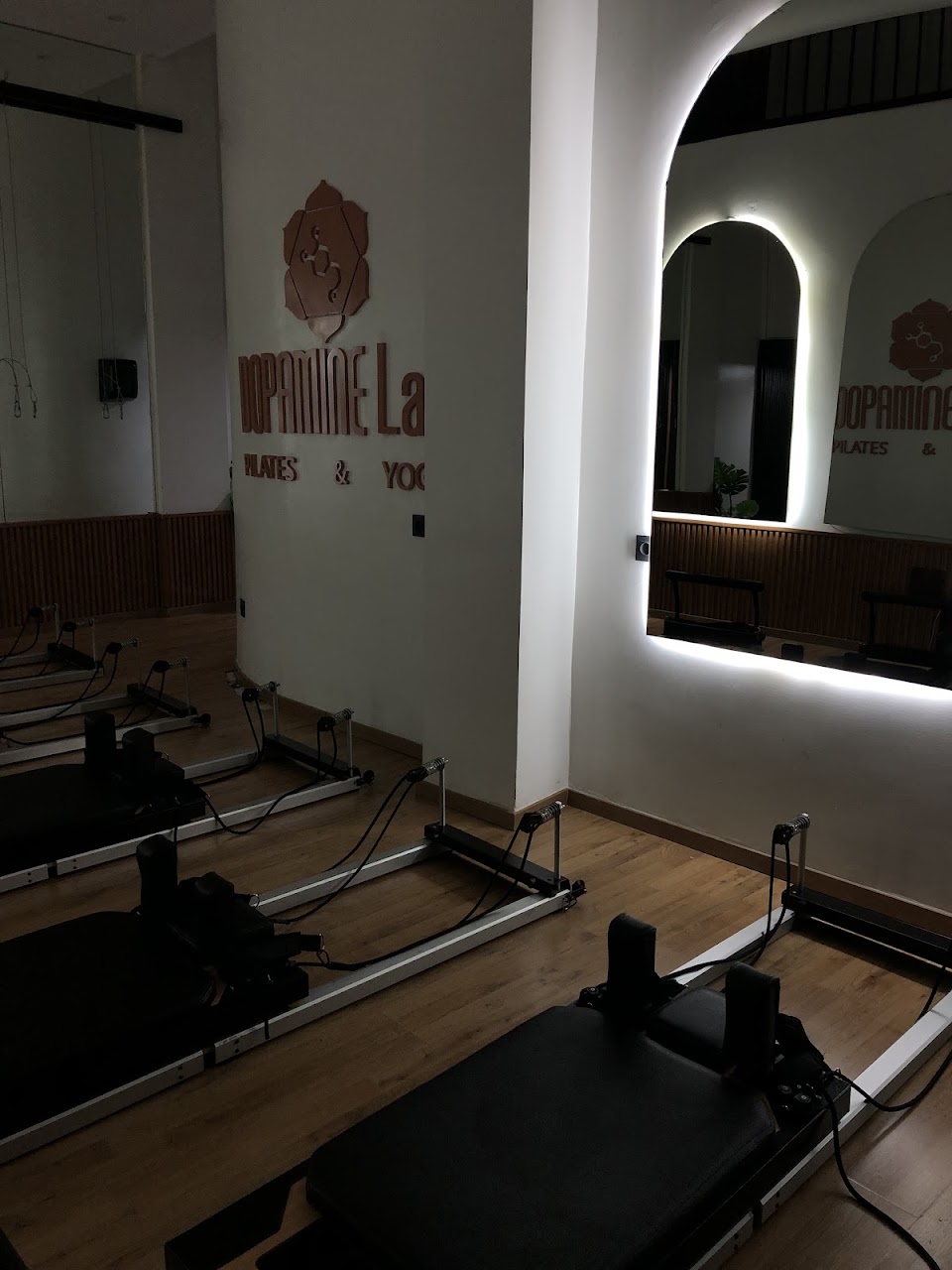 Dopamine Lab — photo 2