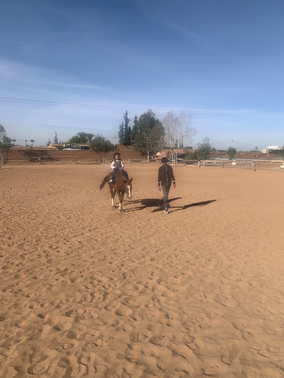 Ranch Family Horse — photo 3