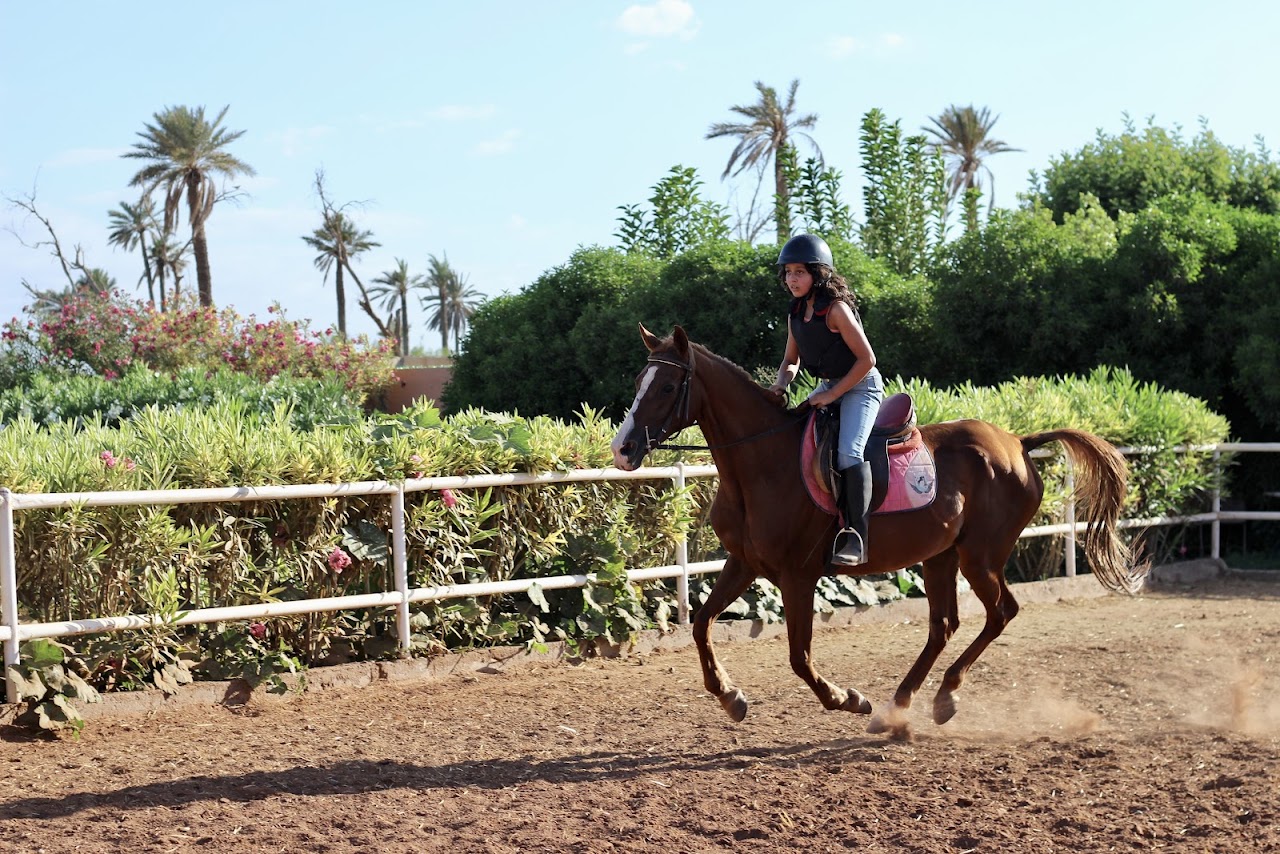 Les Amis Du Cheval Marrakech — photo 3