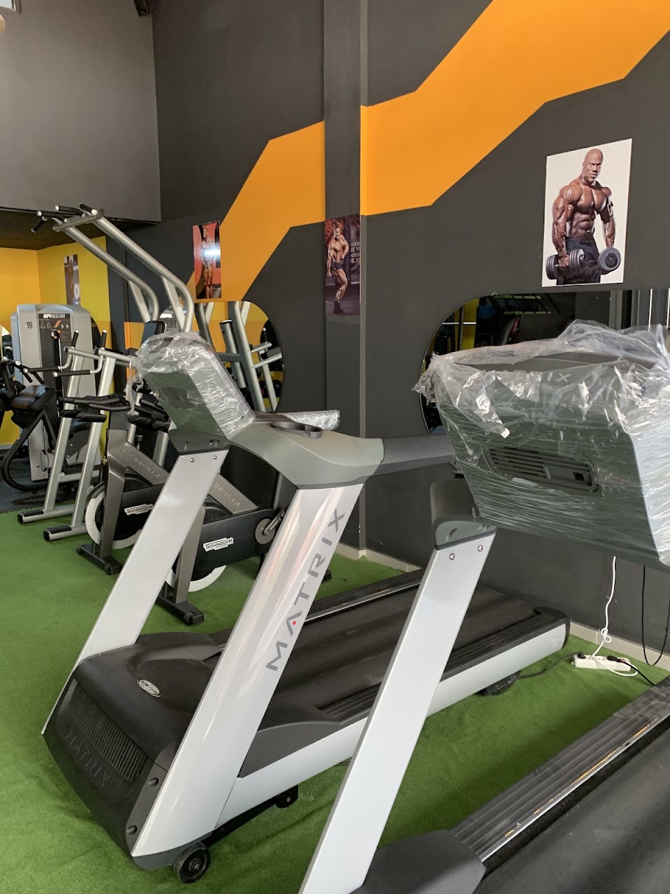 SH fitness — photo 4