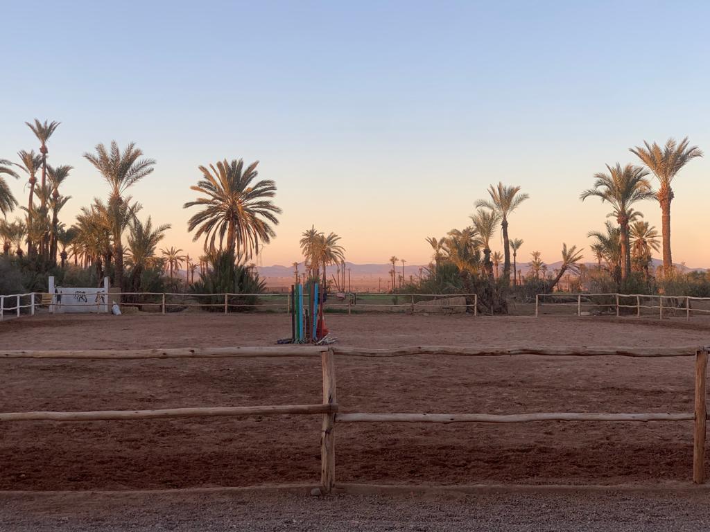 Domaine Équestre La Palmeraie - Cheval Marrakech — photo 4