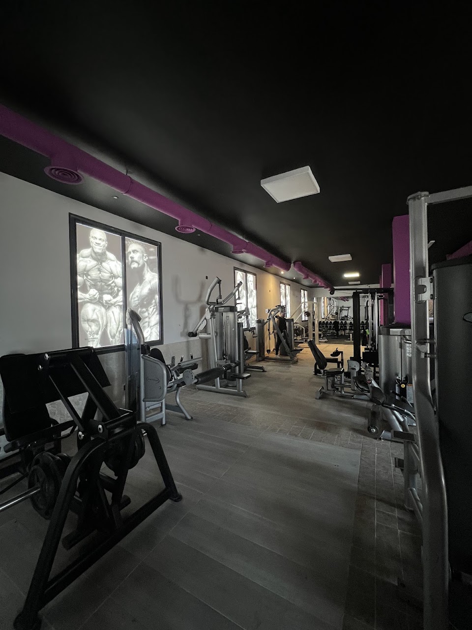 AMERICAN GYM — photo 2