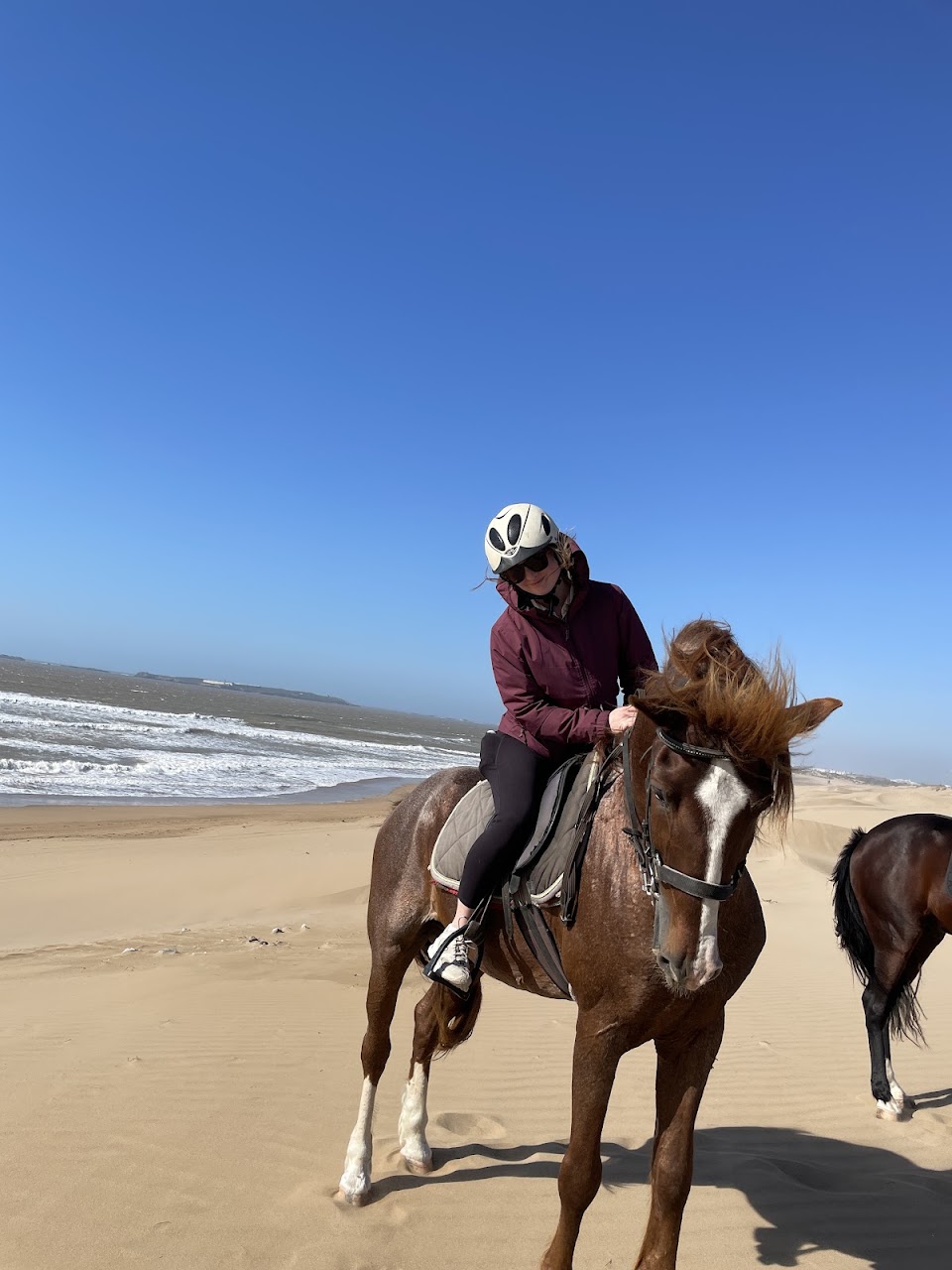 Mohammed - Simo • Horseriding Essaouira — photo 4