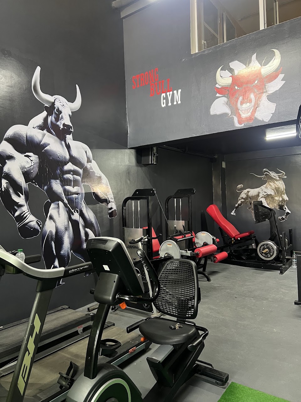 Strong Bull Gym — photo 2