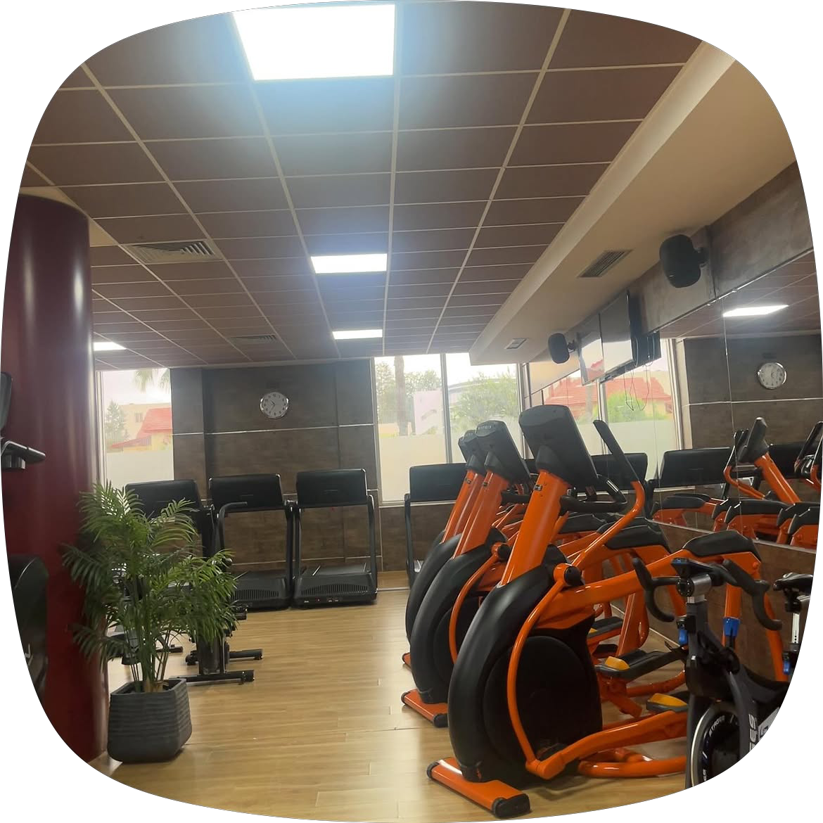 Oxygym — photo 3