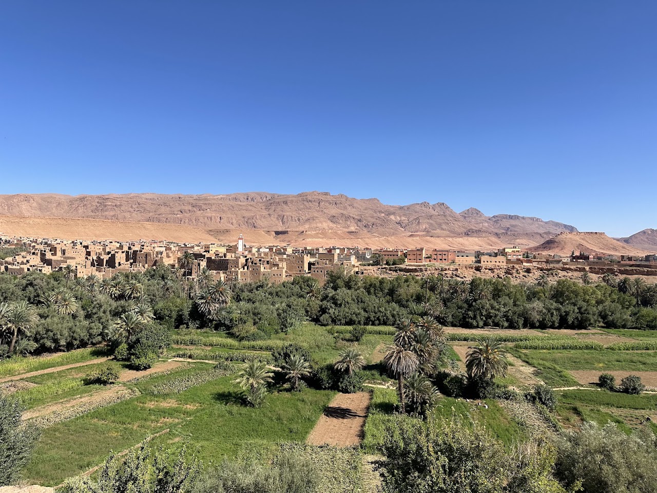 Oasis Golf Course — photo 2