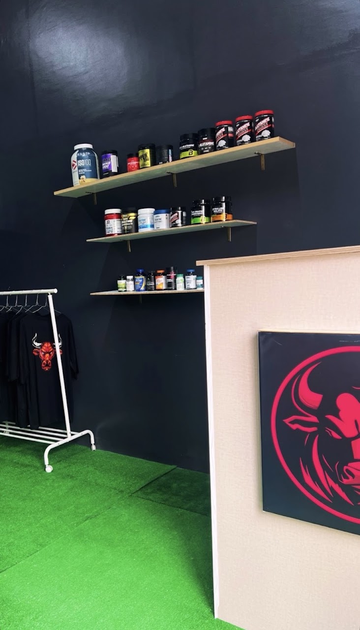 Strong Bull Gym — photo 3