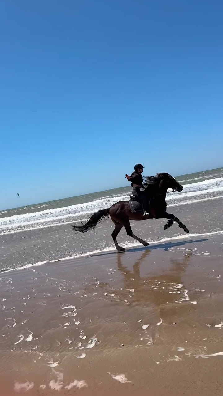Essaouira Horse Escape — photo 2