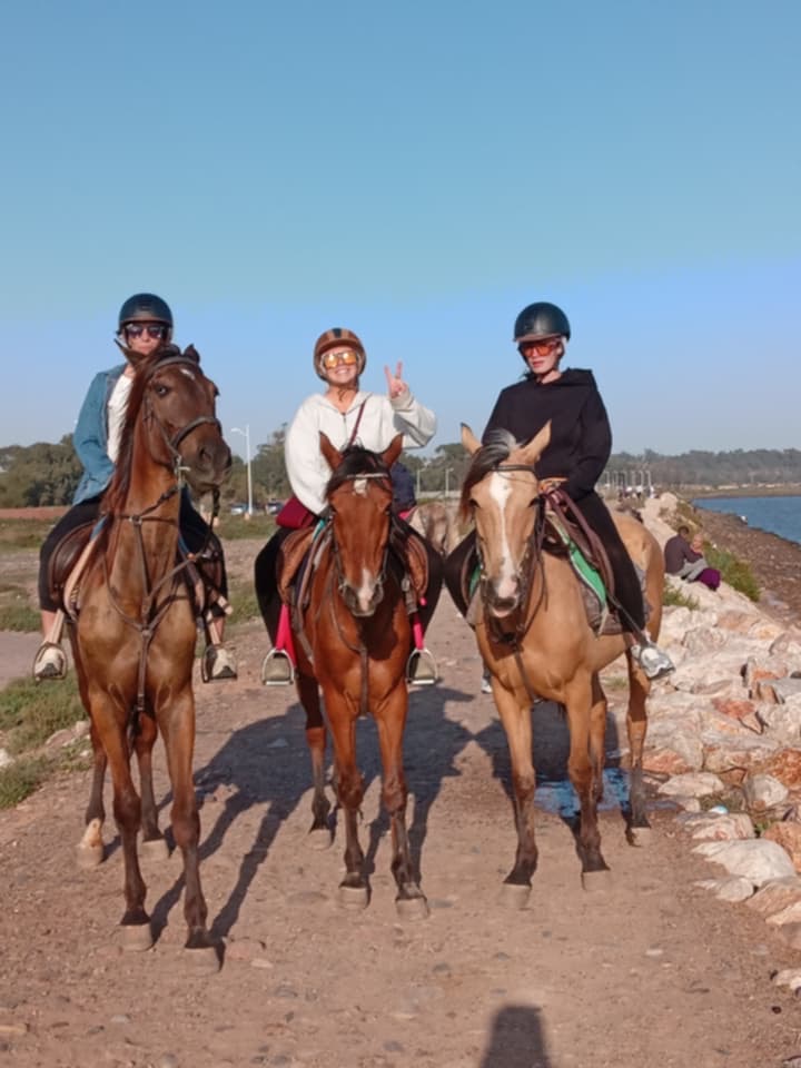 Agadir horse riding — photo 2
