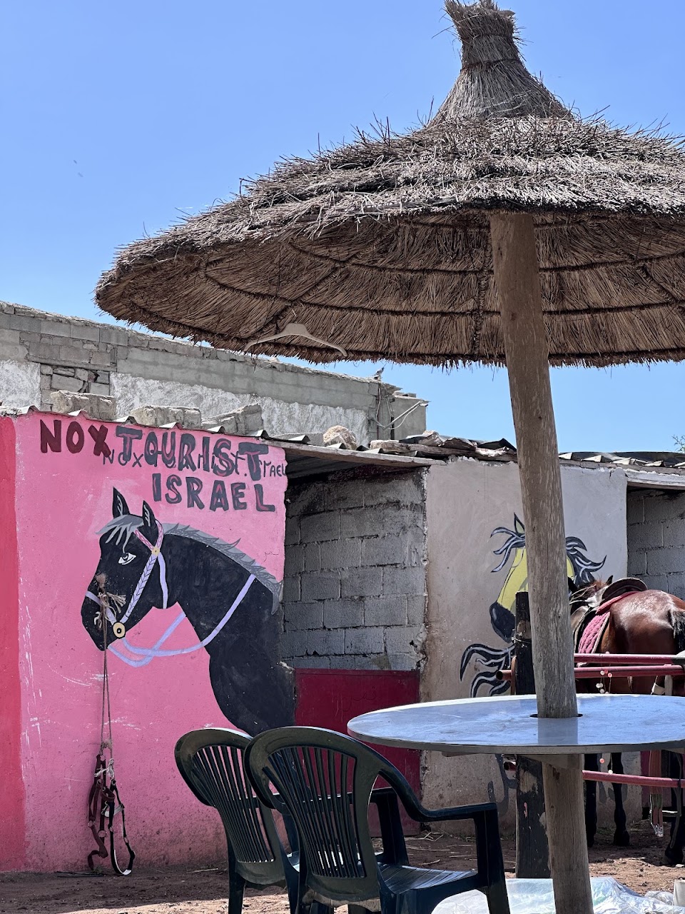 cavalier dar bouaza tamaris — photo 4