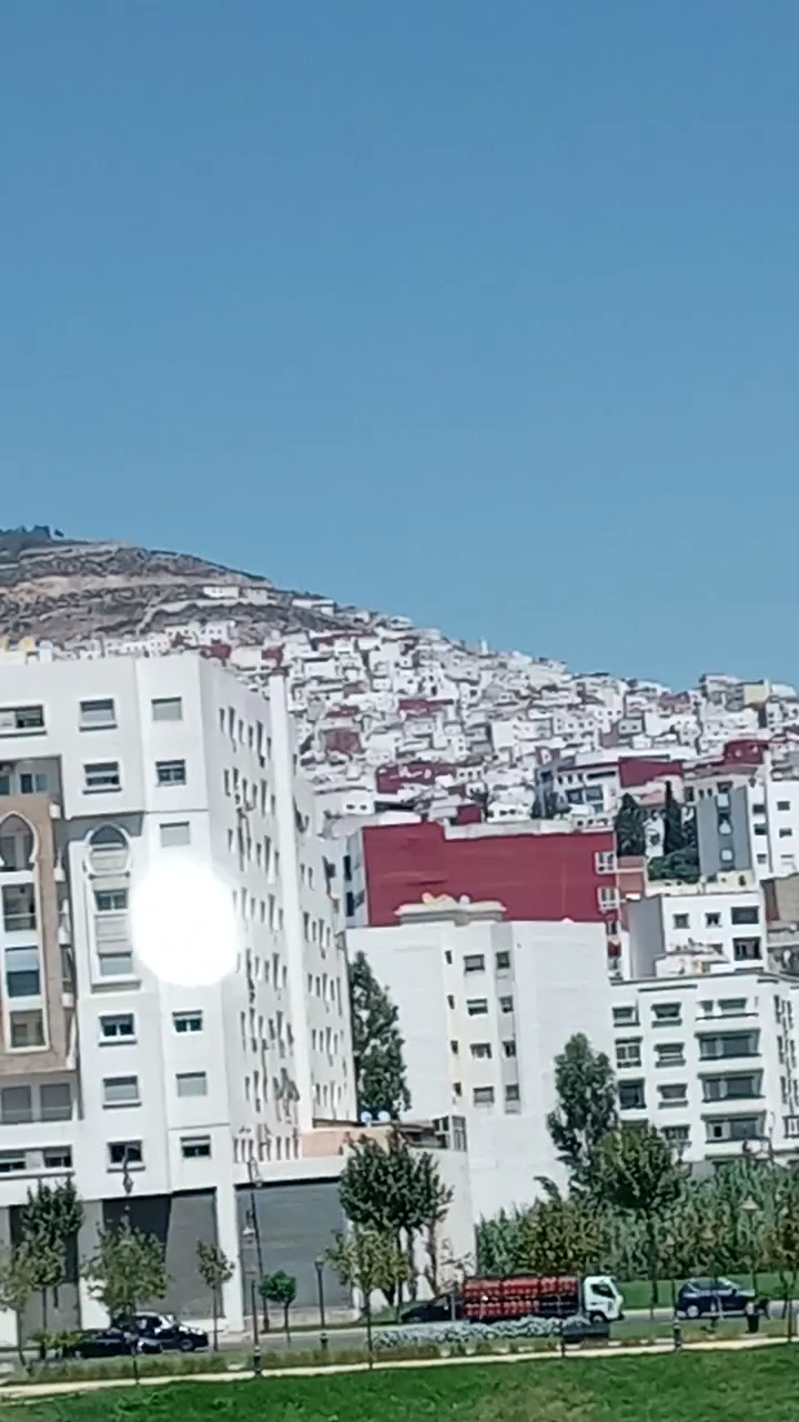 المسبح البلدي بلعباس — photo 3