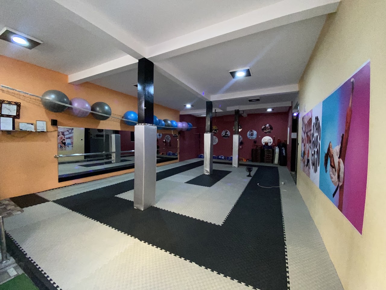 The rock gym (fitness,taekwondo)