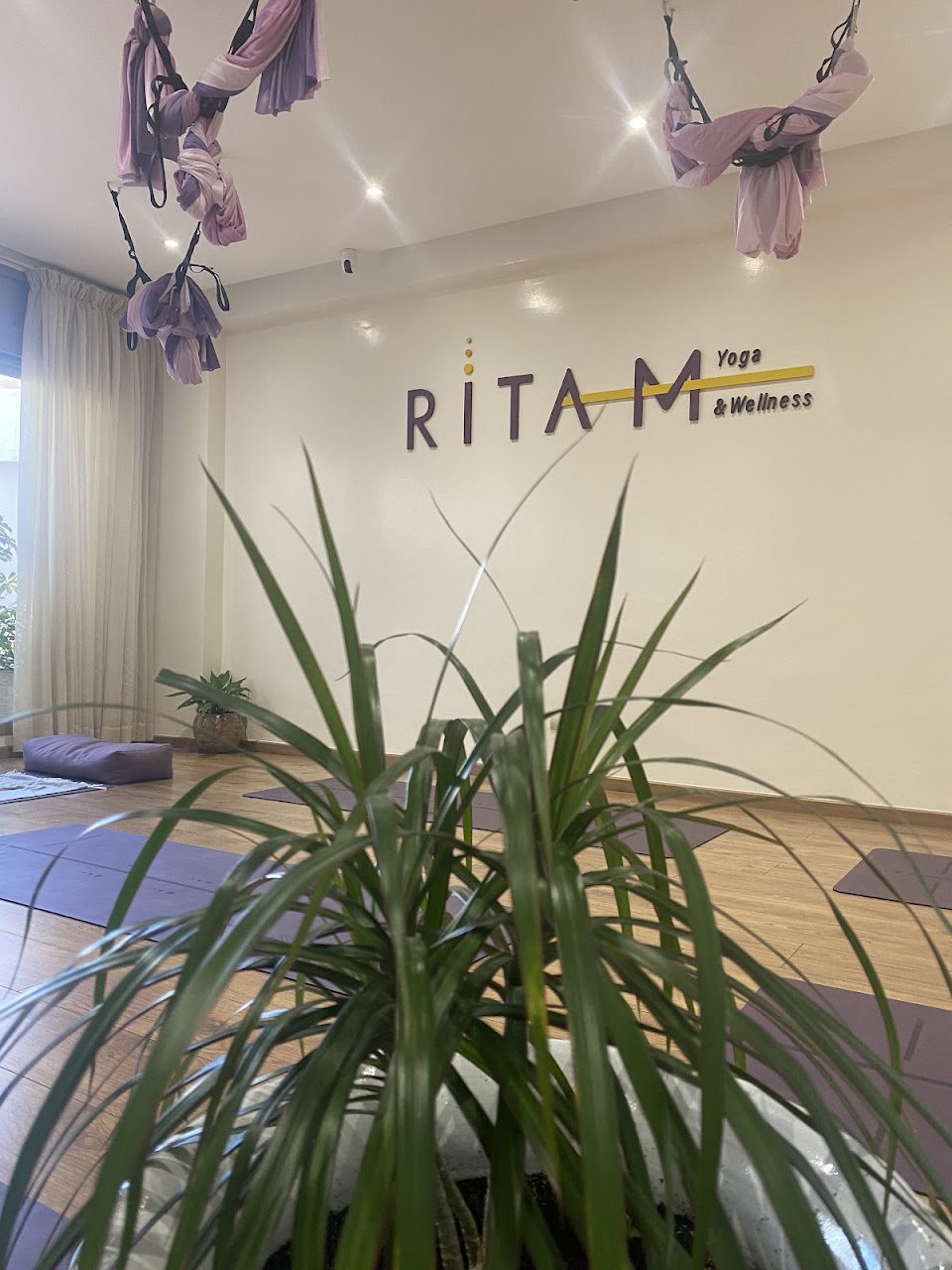 Ritam Yoga — photo 3