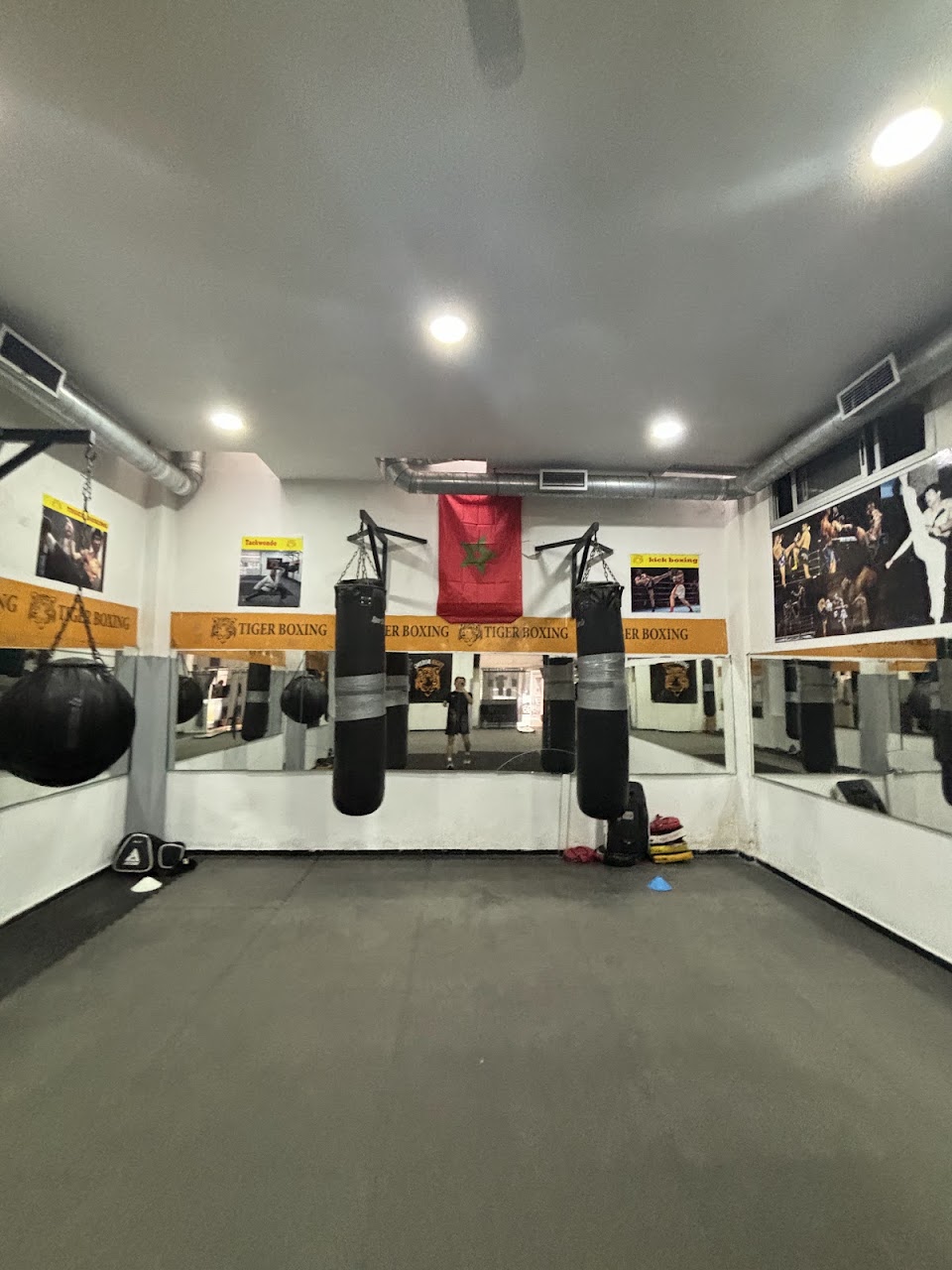 Tiger Boxing — photo 3